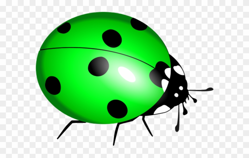 Cartoon Ladybug Clipart - Lady Bug Clip Art #354370