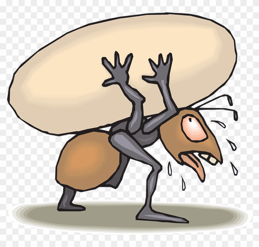 Ant Carrying Food Cartoon #354427