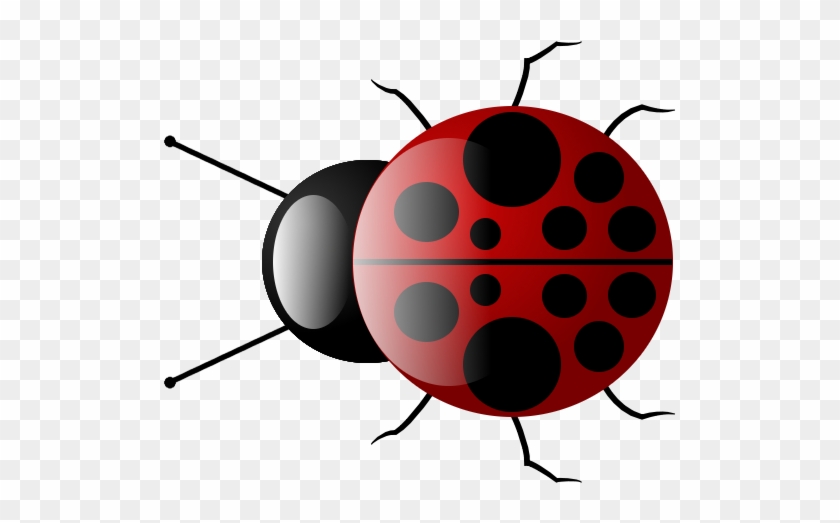 Make Your Own Ladybug *beginners* - Lady Bug With Transparent Background #354475