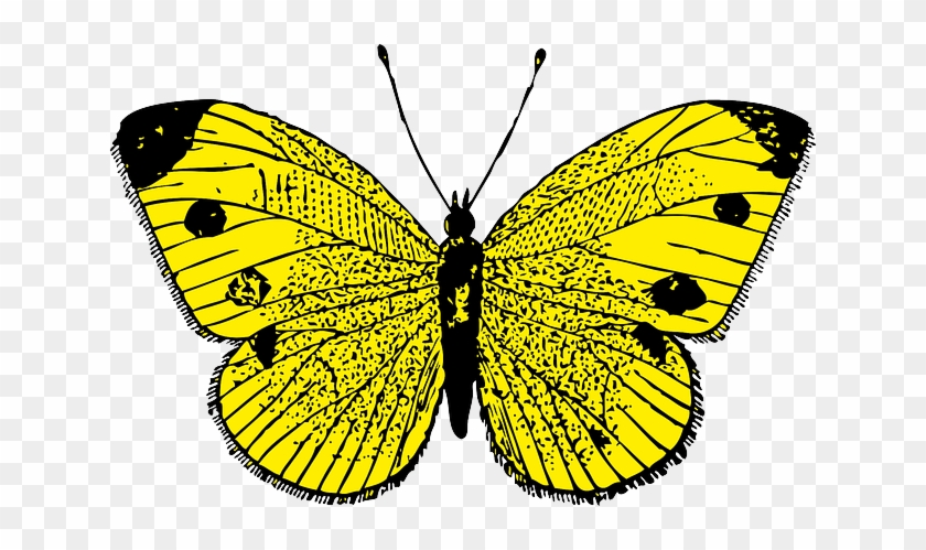 Yellow Butterfly Clip Art At Clker Com Vector Clip - Butterfly Yellow #354842