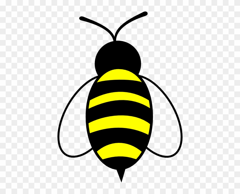 Bumble Bee Clip Art #355161