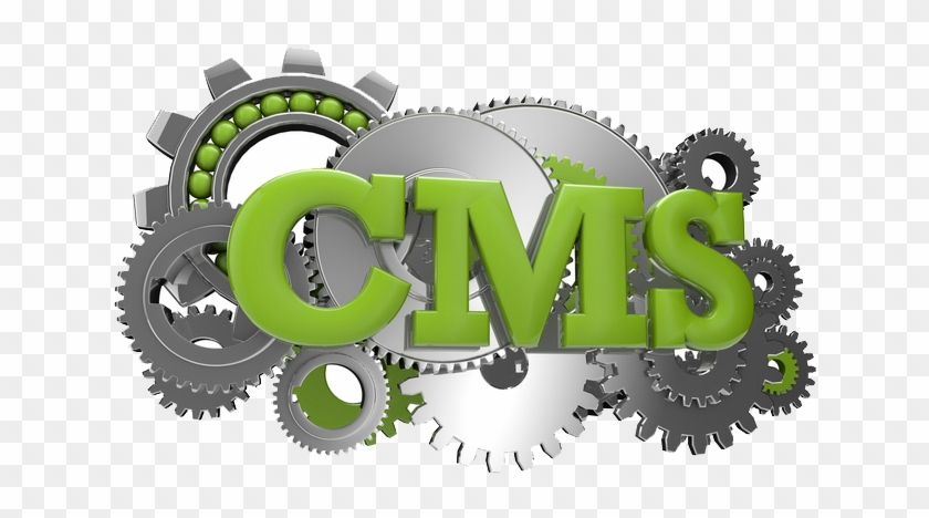 Content Management System - Wordpress For Beginners: How To Quickly Set Your Own #355401