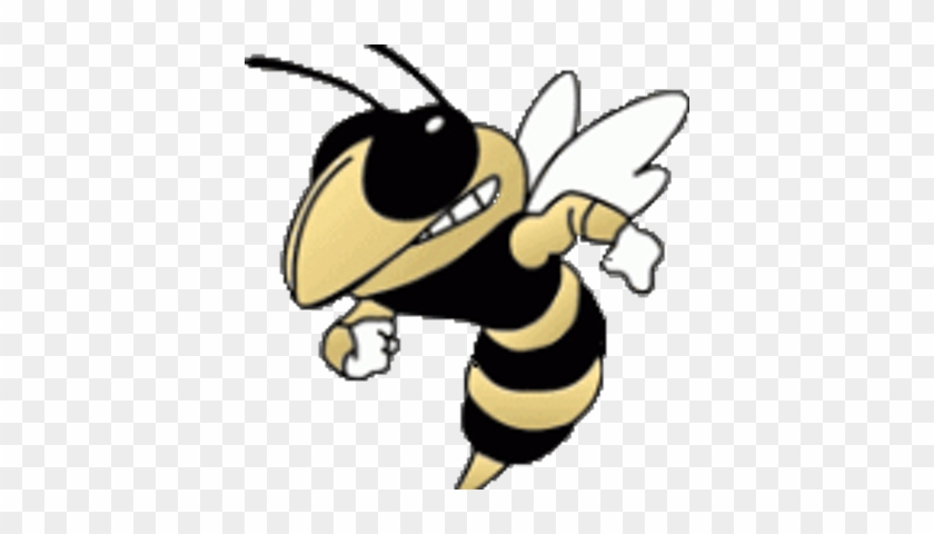 Cleburne Hoops - Georgia Institute Of Technology #355512