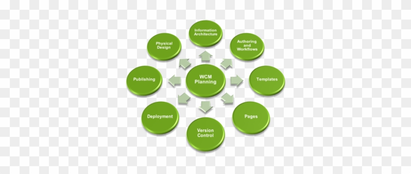 Web Content Management System - Diagram Of Consumer Right #355662