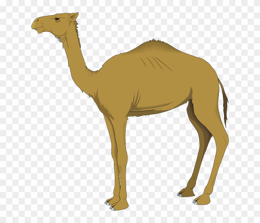 Camel Caravan Clipart Unta - Camel Clipart Png #356653