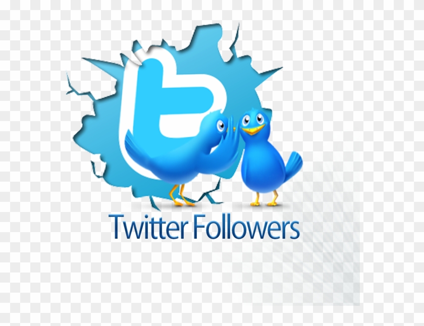 10000 Twitter Followers - Odysseus Android Phones Arcapel As1 4 0 2 3 Dual Sim #357739