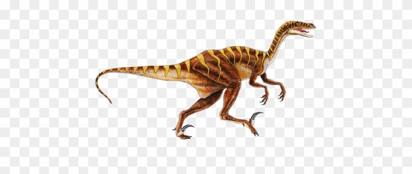 Explore Dinosaur Types, Dinosaur Dinosaur, And More - Get Stuff Done Funny #358593