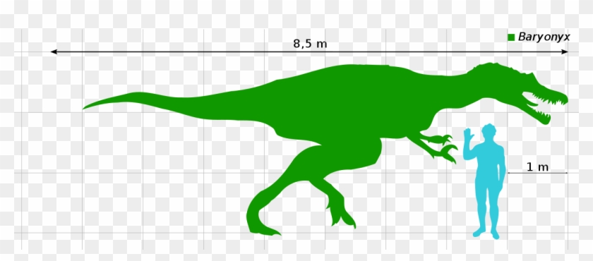 320 × 126 Pixels - Green Baryonyx #358708