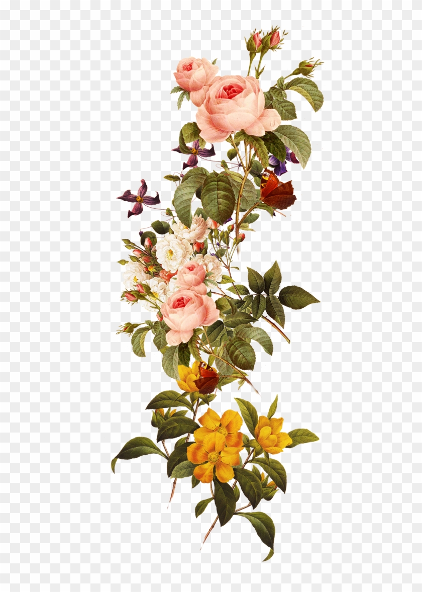 Beautiful Flowers 571*1096 Transprent Png Free - Beautiful Flowers 571*1096 Transprent Png Free #359735