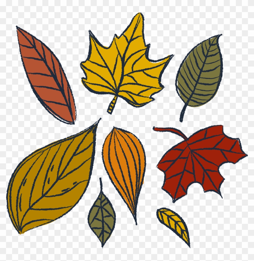 Leaf Watercolor Painting Drawing - Leaf Watercolor Painting Drawing #359953