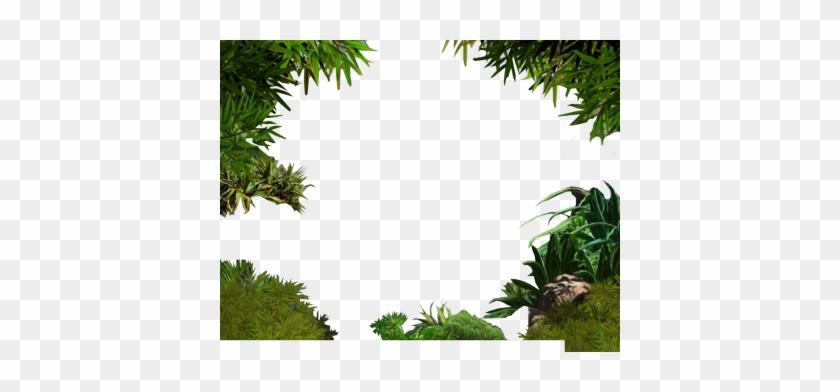 Jungle Border Png Transparent Image - Jungle Border Transparent #360231