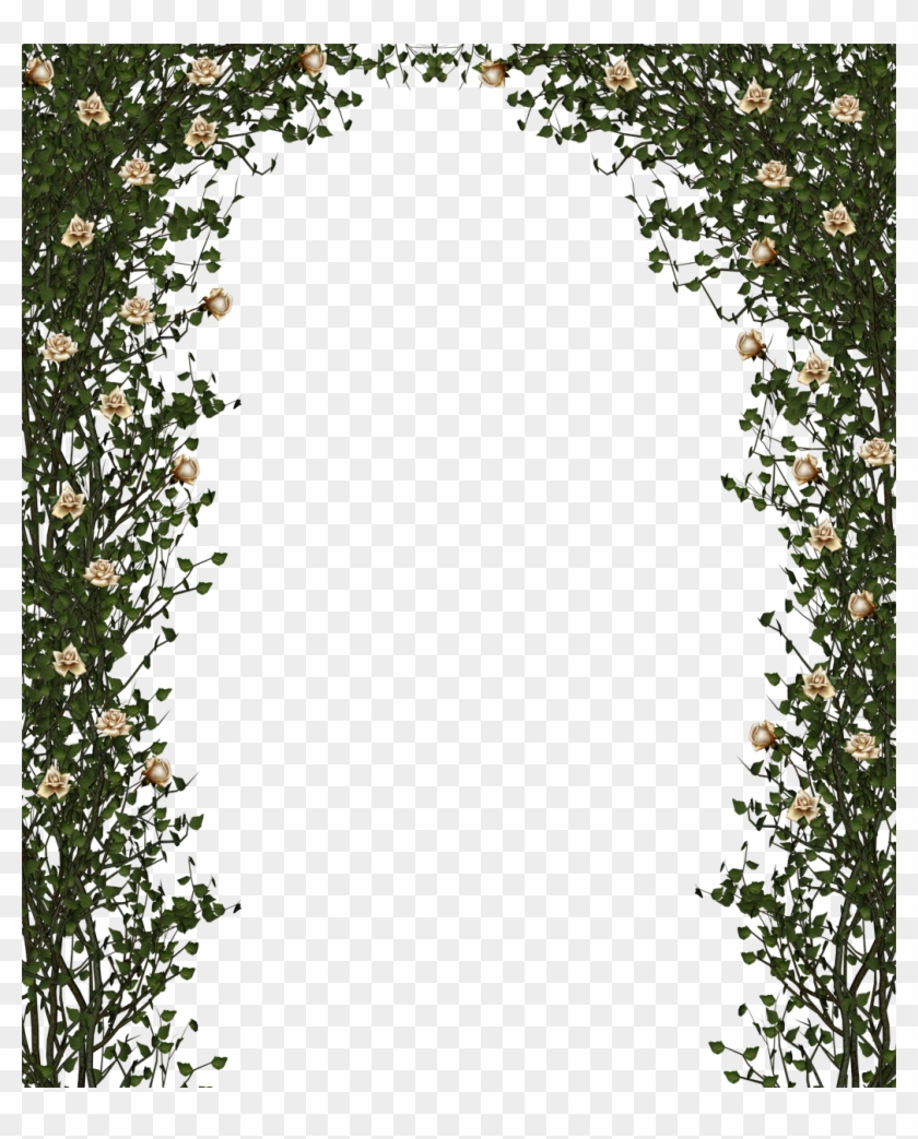 Rose Bush Frame Png Image - Арка Пнг #360262