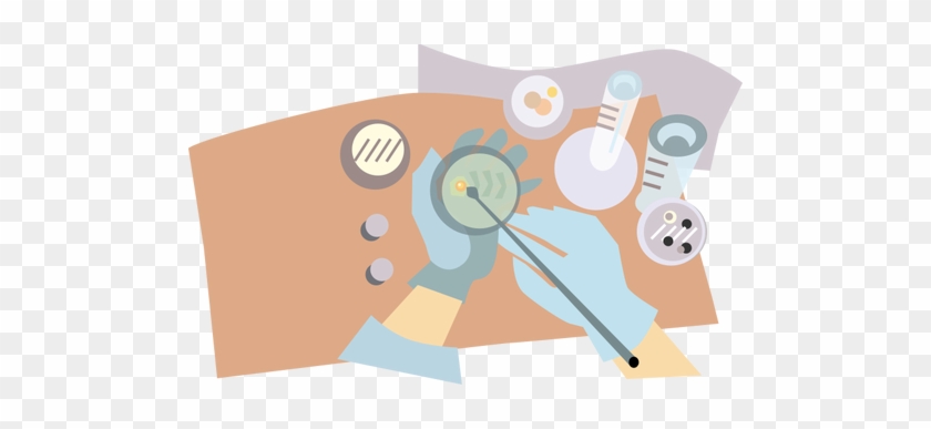 Vector Graphics Of Microbiologist Putting Bacteria - Agar Plate Clipart #360446