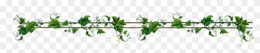 Vines Border - Animal #360551