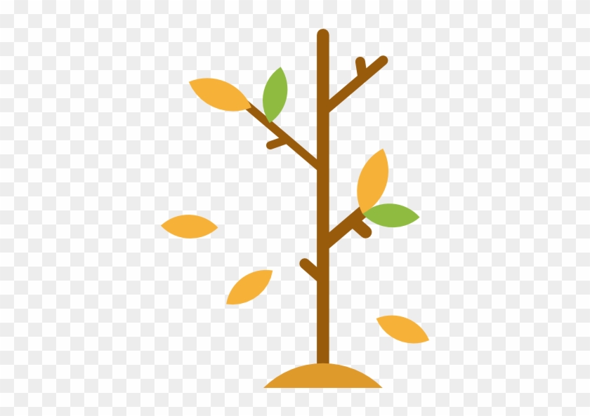 Branch Tree Scalable Vector Graphics Icon - Baby Tree Icon Png #360618