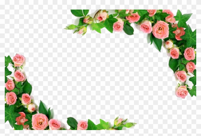 Rose U5409u7965u5bfau5e97 Pink Photography Royalty-free - Png Roses Border #360752