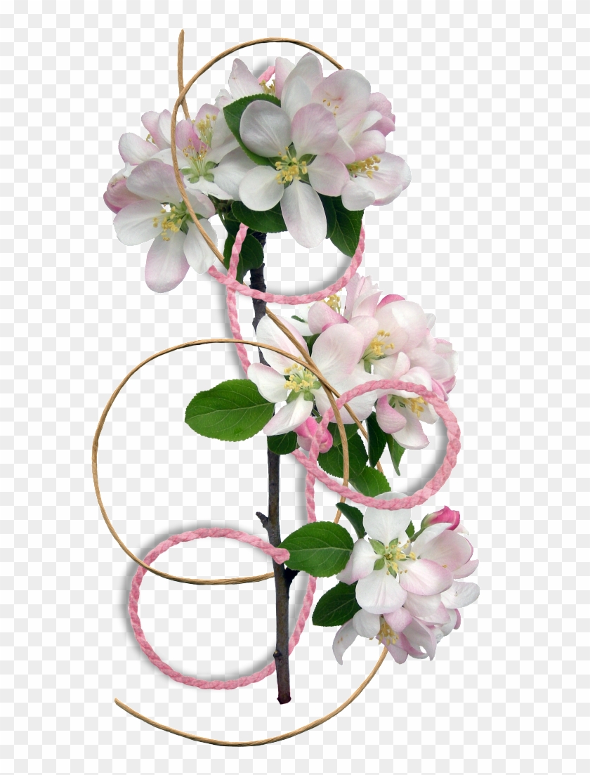Flower Border Clipart - Flower Border #361076