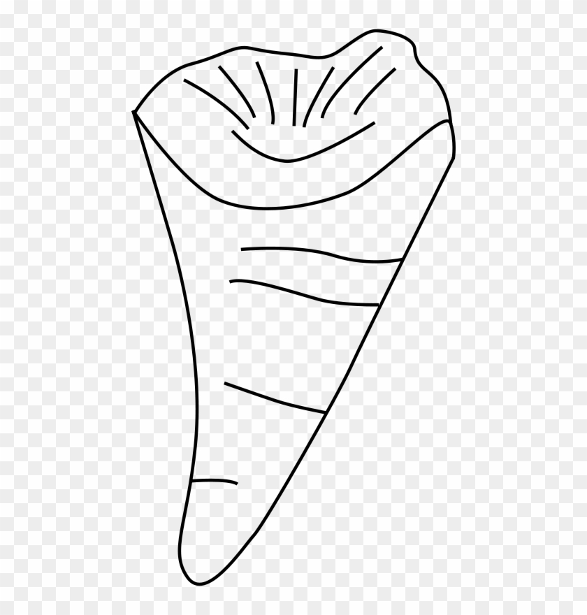 Free Trochiten Free Rugosa - Clip Art #361875