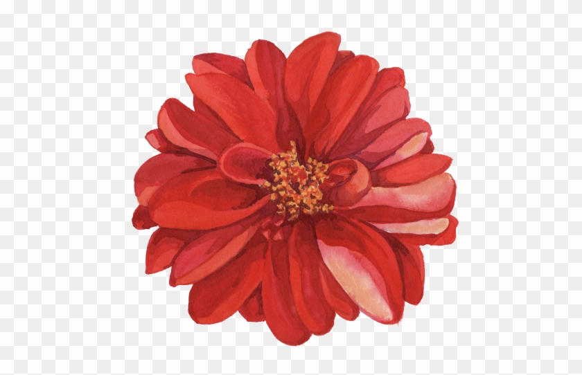 Image Result For Transparent Flower Drawing Png - Transpartent Flower Drawing #362402