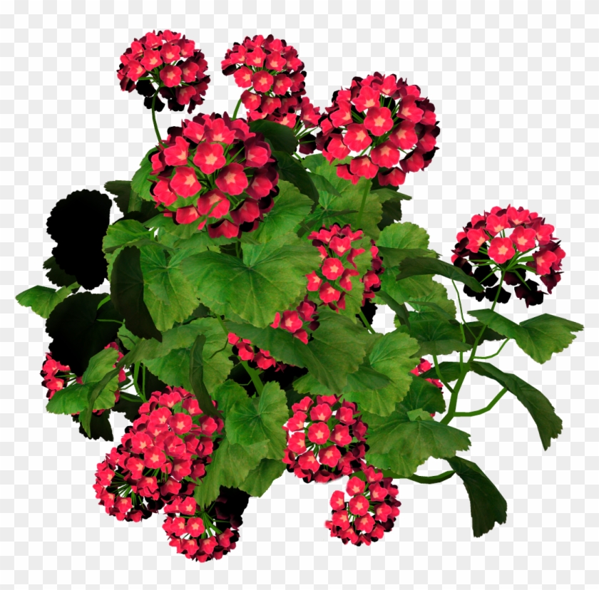Flower Drawing - Flower Bouquet - Flower Drawing - Flower Bouquet #362690