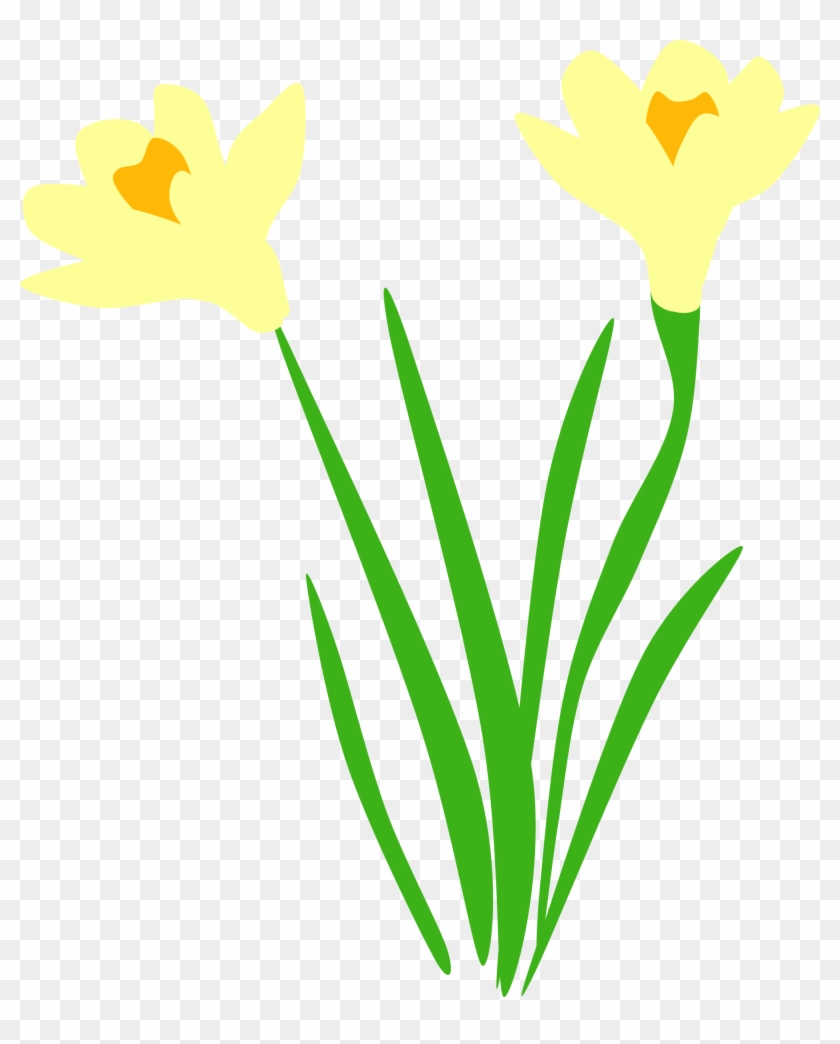 Big Image - Daffodil Vector #362821