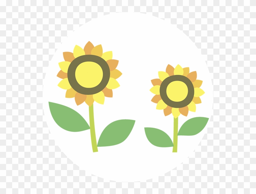 Flowers - Portable Network Graphics #363669