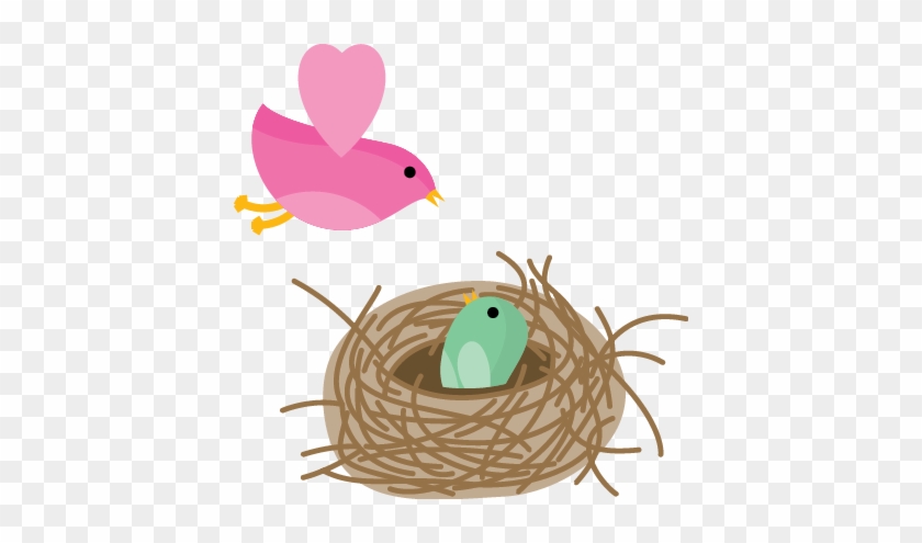 Possible Signs Of Lip/tongue Tie In Babies - Bird Nest #364005