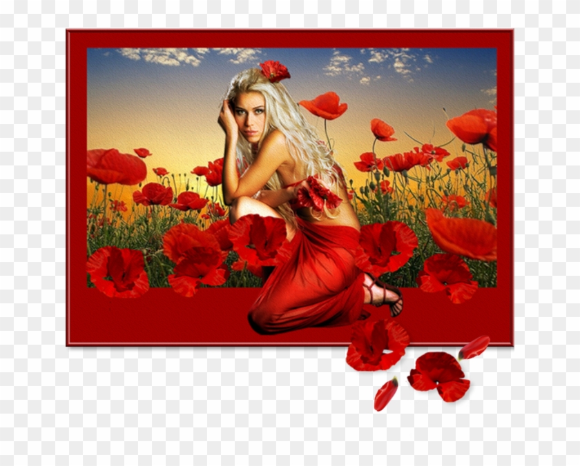 Poppies And Women - Corn Poppy #364208