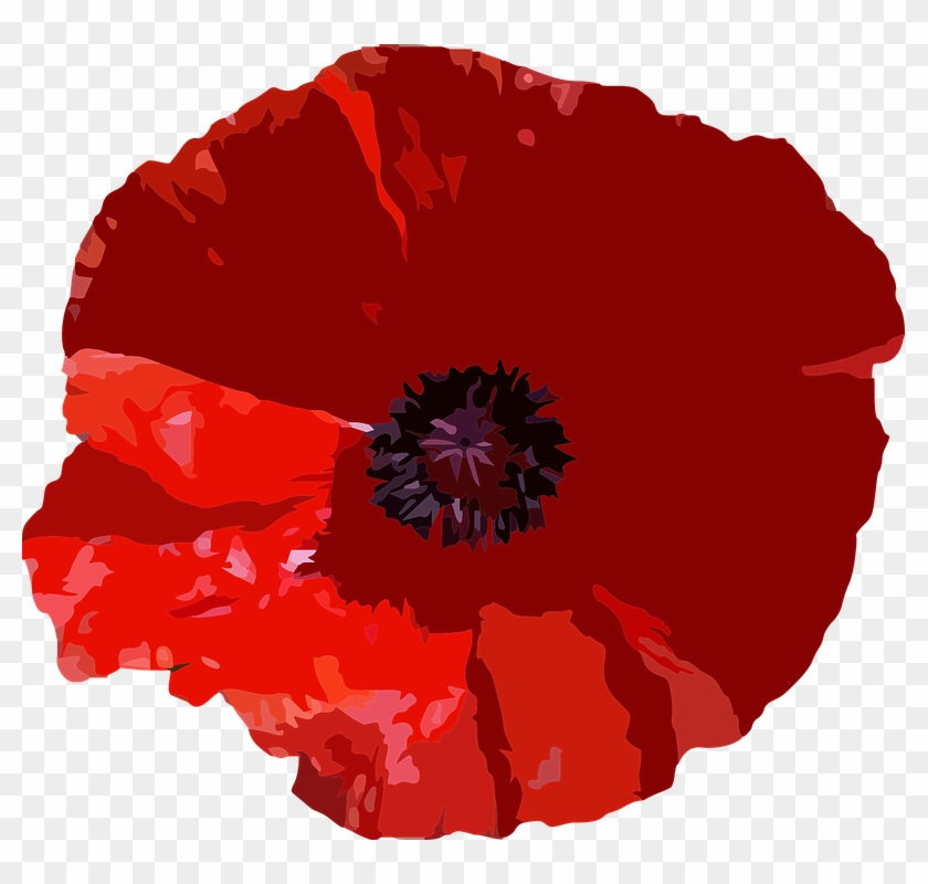 Poppy Journal By Dibiasio Publications 9781540691132 #364402
