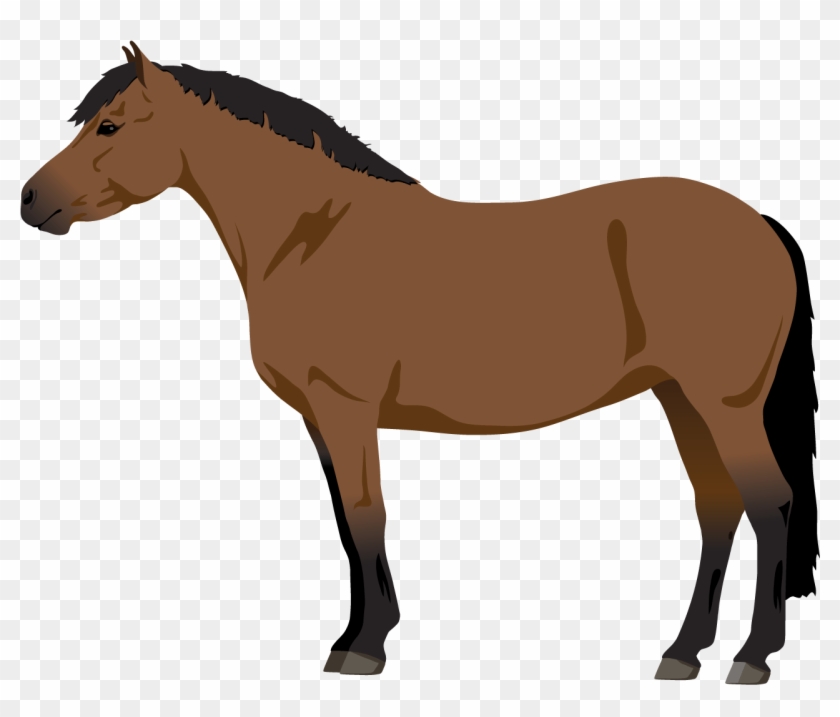 More Like 5 Point Horse Adopt - Horse #365162