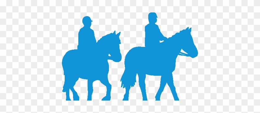 Allen & Page Quality Horse Feeds Company Registration - Animal Feed #365650