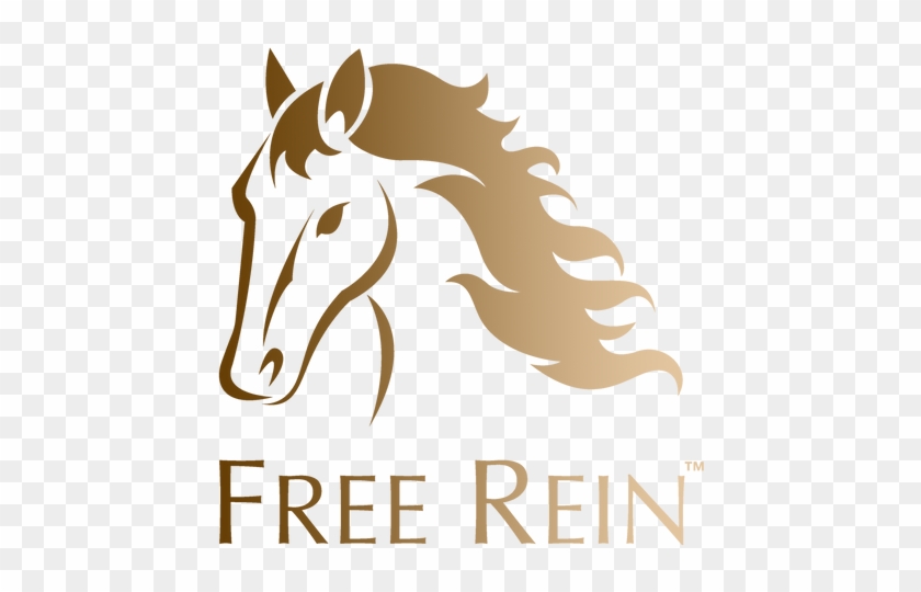 Free Rein™ Fleece Bandages Are Made Of Super Soft High - We Are Free (split Track Accompaniment Cd) - 4-part #365784