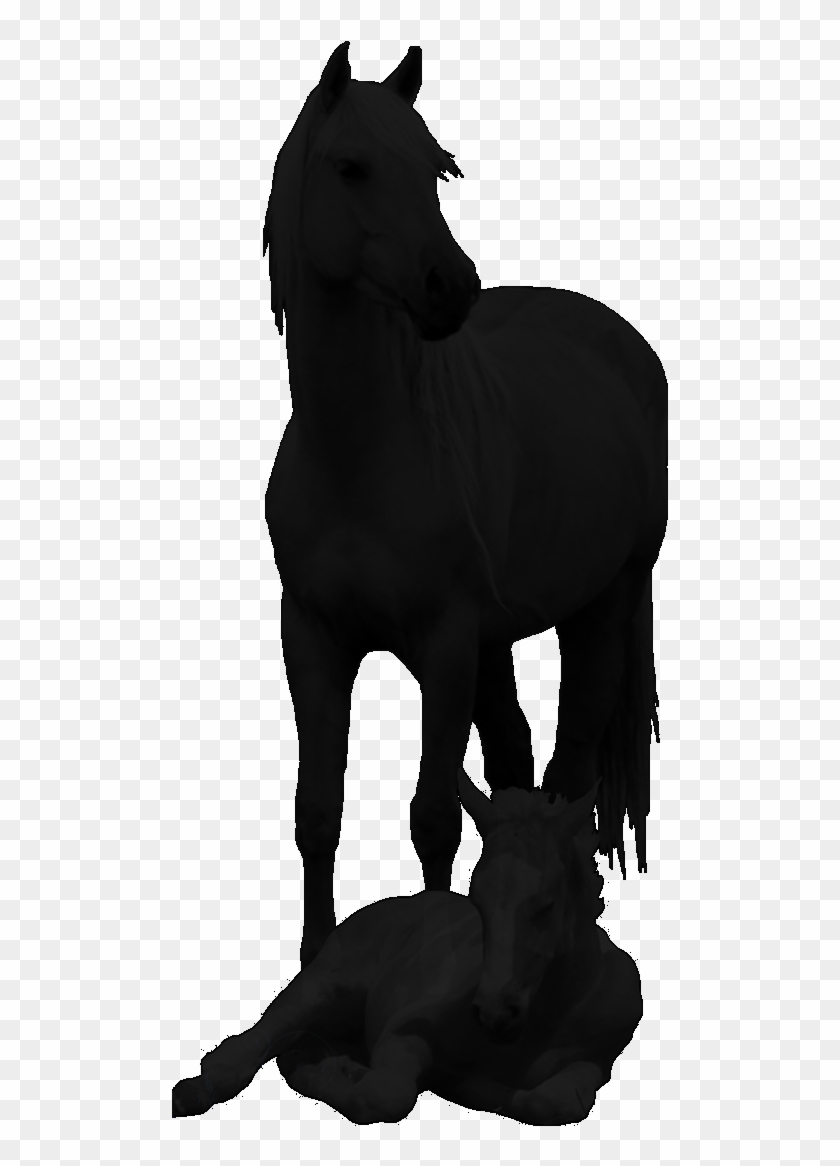 Click On Any Photo For Larger Picture/slideshow To - Horse #366045