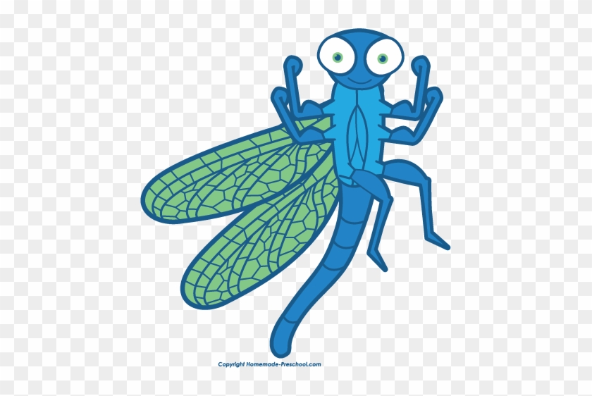 Free Dragonfly Clipart - Dragonfly Boy #368214