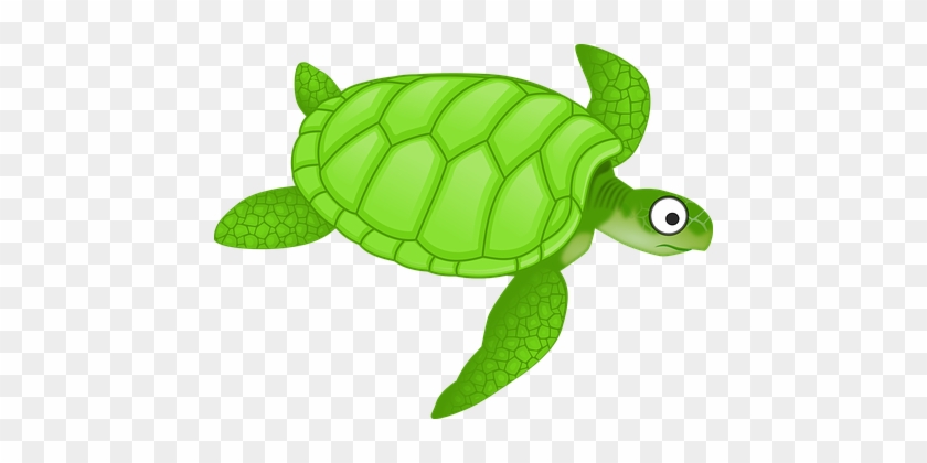 Cartoon Green Sea Turtle Turtle Turtle Tur - Sea Turtle Clipart #370222