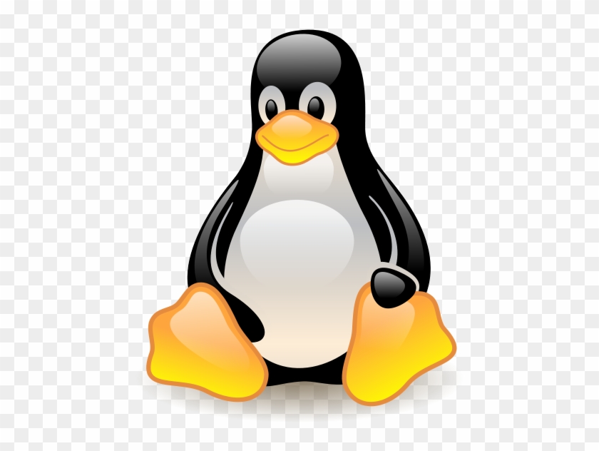 Zazzle Penguin Cartoon Personalised Custom Girls Name #370850