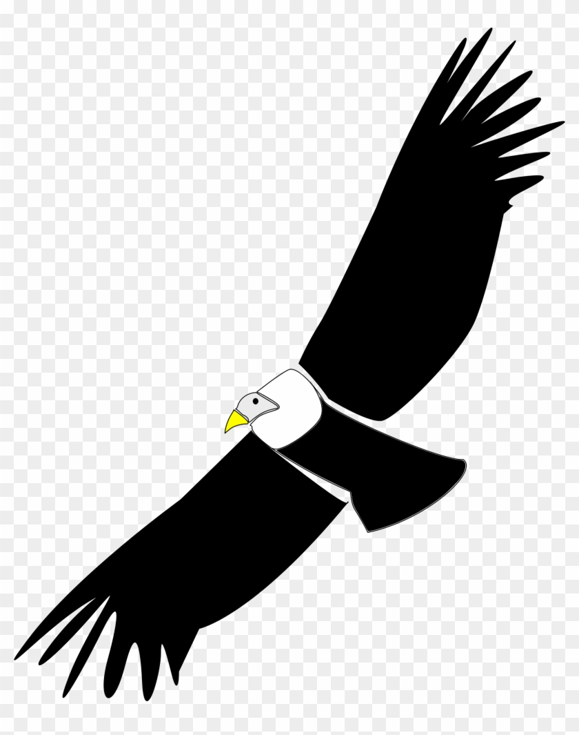 Condor Clipart #374654