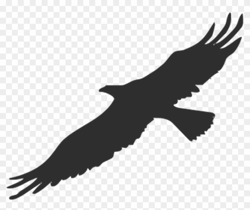 Golden Eagle Clipart Transparent - Vogel Silhouette #374697