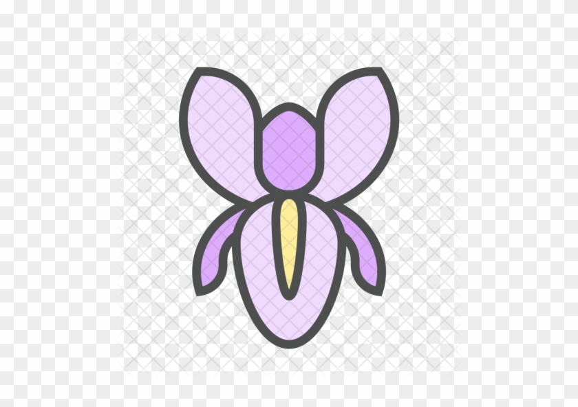 Flower, Iris, Blossom, Nature, Spring Icon - Flower #376203
