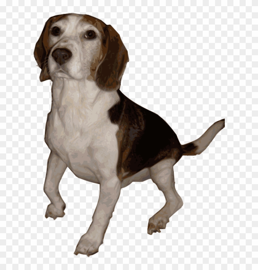Free Beagle Medium Version - Life Is Better With A Beagle Shower Curtain #380112