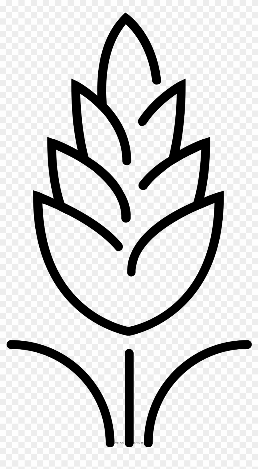 Wheat Coloring Page - Trigo Para Colorear #380707