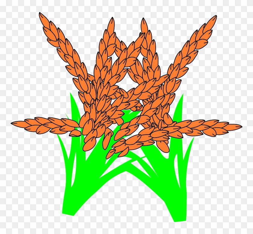 Cartoon Drawing - Wheat Cartoons - Cartoon Drawing - Wheat Cartoons #380761