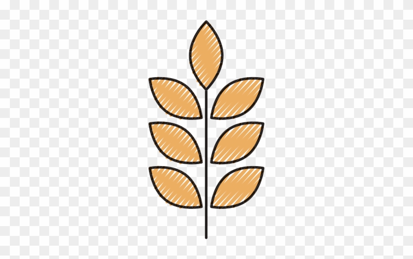 Wheat Or Barley Ears - Illustration #380762