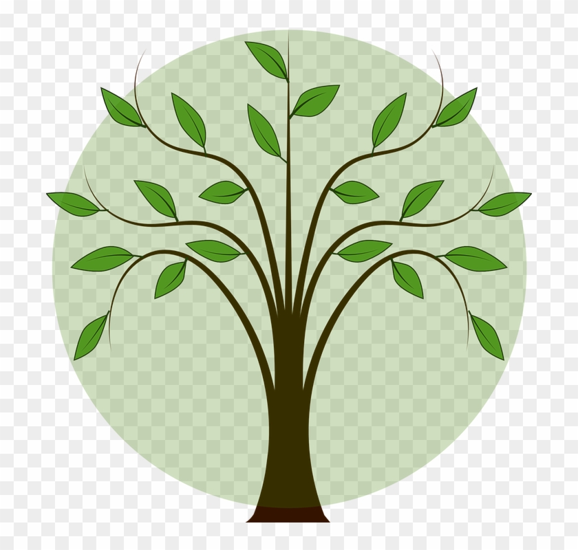 Leafy Branch Cliparts 6, Buy Clip Art - Family Tree Vector Png #382041