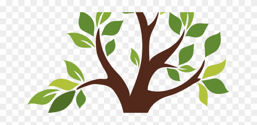 Big Tree Contest - Vector Image Tree #382042