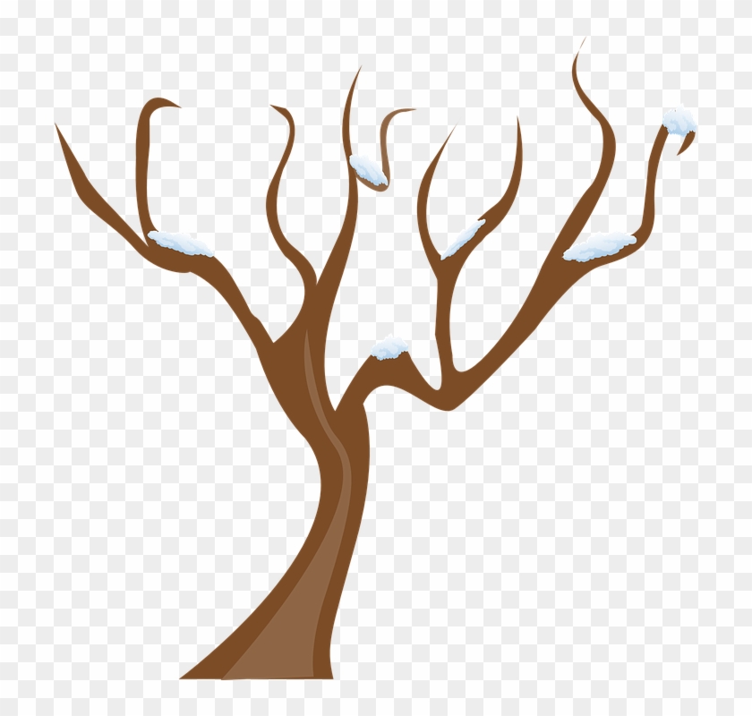 Spooky Tree Cliparts 14, - Tree Without Leaves Clipart #382187