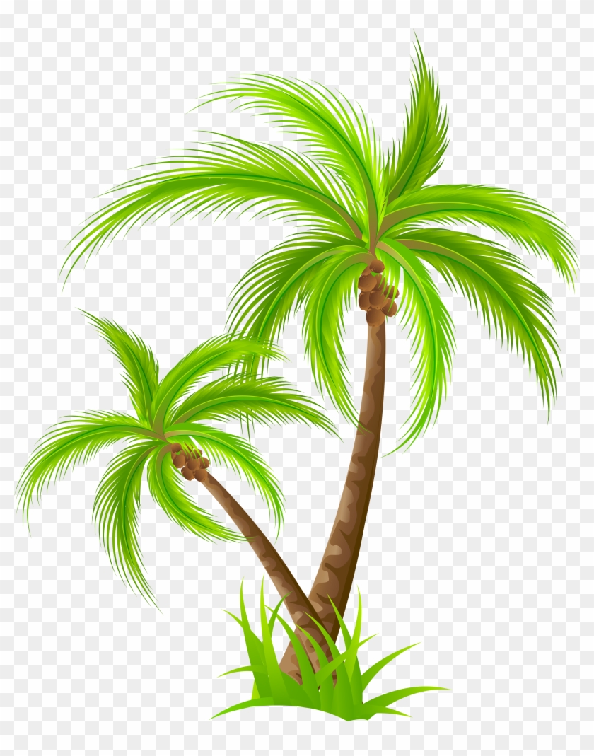 Palm Png Clip Art - Palm Png #382422