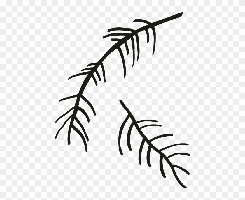 Line Art Drawing Clip Art - Drawing #382425