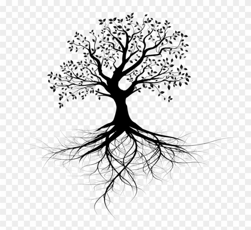 Invest In Ceiba Beach Resort And Residences - Transparent Tree Of Life With Roots #382499