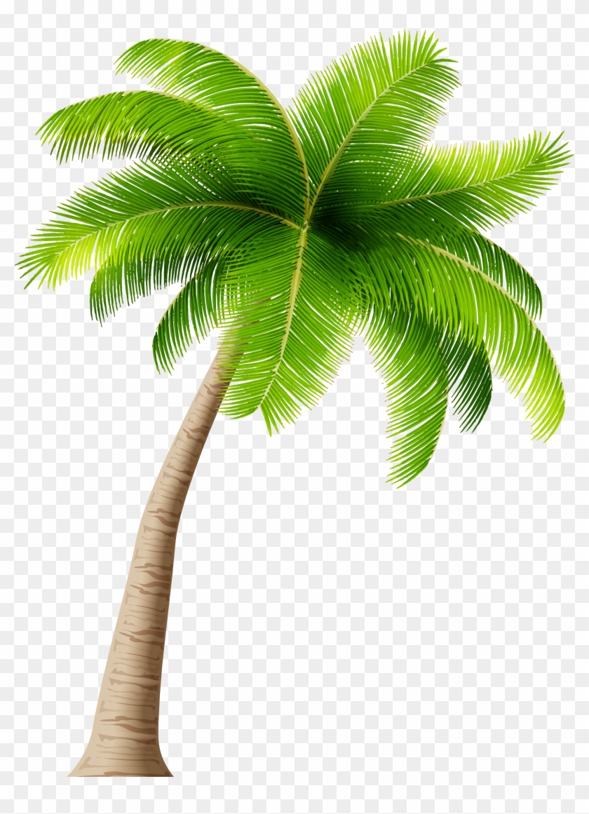 Palm Tree Png Clipart Image - Palm Tree Transparent Background #382740